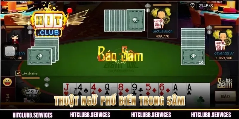 Thuật ngữ phổ biến trong sâm